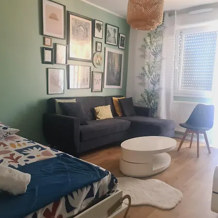 A&C Appartement 5Mn Basel Airport Apartment