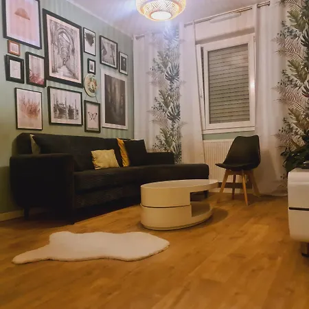 A&c 5mn Basel Airport Saint-Louis (Haut-Rhin)